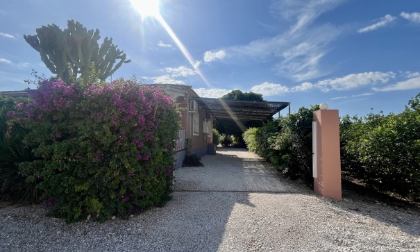 Venta - Chalet Independiente -
Orihuela