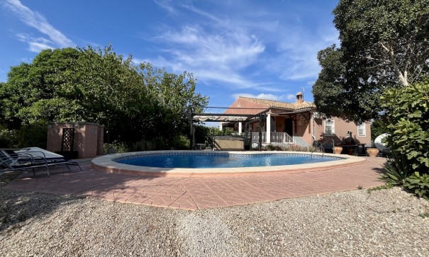 Venta - Chalet Independiente -
Orihuela