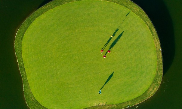 Nouvelle construction - Villa Individuelle -
Pilar de la Horadada - Lo Romero Golf