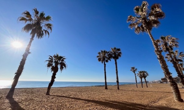 Sale - Apartment Flat -
La Mata - Costa Blanca