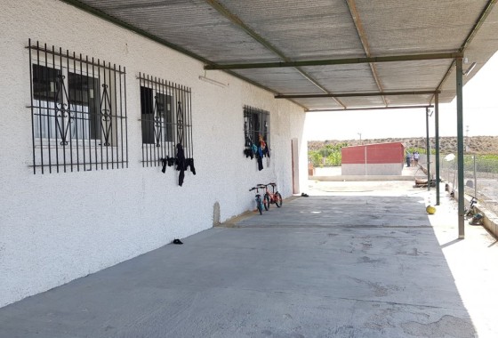 Revente - Finca Propriété rurale -
Los Montesinos - LOS MONTESINOS