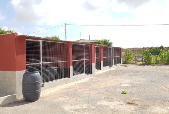 Revente - Finca Propriété rurale -
Los Montesinos - LOS MONTESINOS