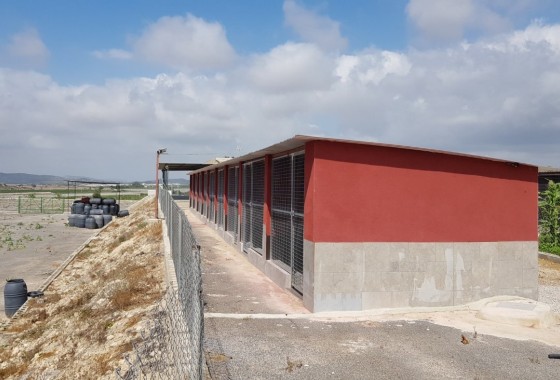 Revente - Finca Propriété rurale -
Los Montesinos - LOS MONTESINOS