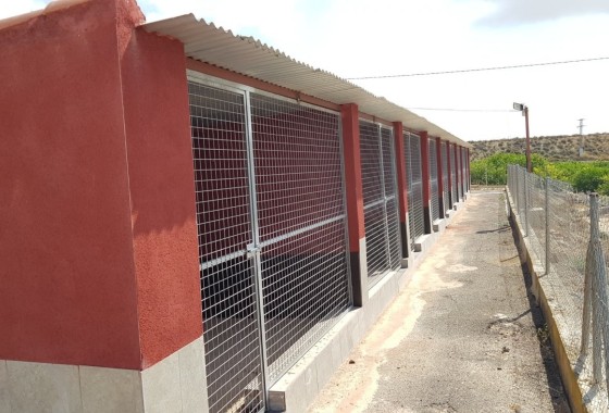 Revente - Finca Propriété rurale -
Los Montesinos - LOS MONTESINOS