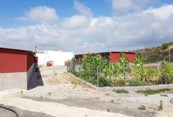 Revente - Finca Propriété rurale -
Los Montesinos - LOS MONTESINOS