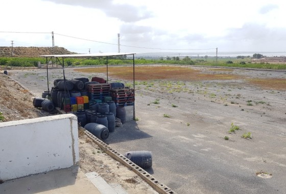 Revente - Finca Propriété rurale -
Los Montesinos - LOS MONTESINOS