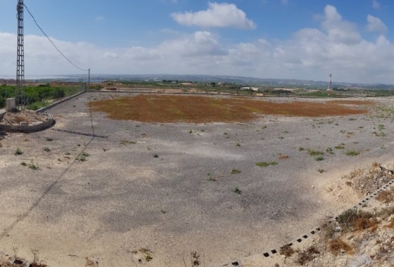 Revente - Finca Propriété rurale -
Los Montesinos - LOS MONTESINOS