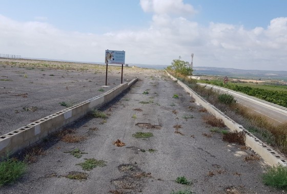 Revente - Finca Propriété rurale -
Los Montesinos - LOS MONTESINOS