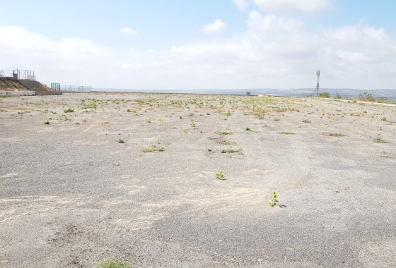 Revente - Finca Propriété rurale -
Los Montesinos - LOS MONTESINOS