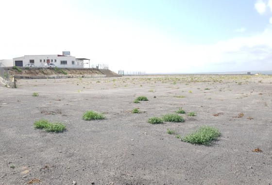 Revente - Finca Propriété rurale -
Los Montesinos - LOS MONTESINOS