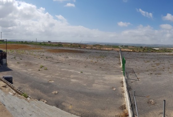 Revente - Finca Propriété rurale -
Los Montesinos - LOS MONTESINOS