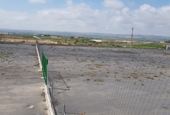 Revente - Finca Propriété rurale -
Los Montesinos - LOS MONTESINOS