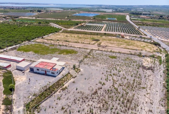 Revente - Finca Propriété rurale -
Los Montesinos - LOS MONTESINOS