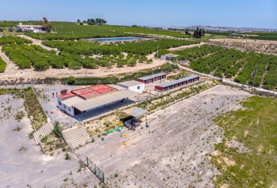 Revente - Finca Propriété rurale -
Los Montesinos - LOS MONTESINOS