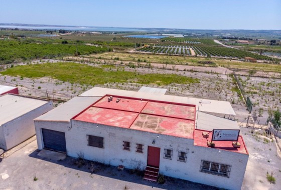 Revente - Finca Propriété rurale -
Los Montesinos - LOS MONTESINOS