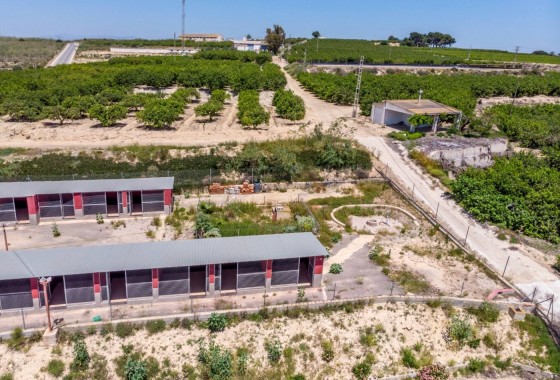 Revente - Finca Propriété rurale -
Los Montesinos - LOS MONTESINOS