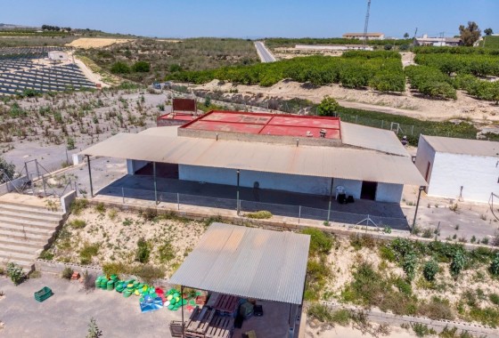 Revente - Finca Propriété rurale -
Los Montesinos - LOS MONTESINOS