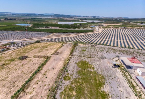 Revente - Finca Propriété rurale -
Los Montesinos - LOS MONTESINOS