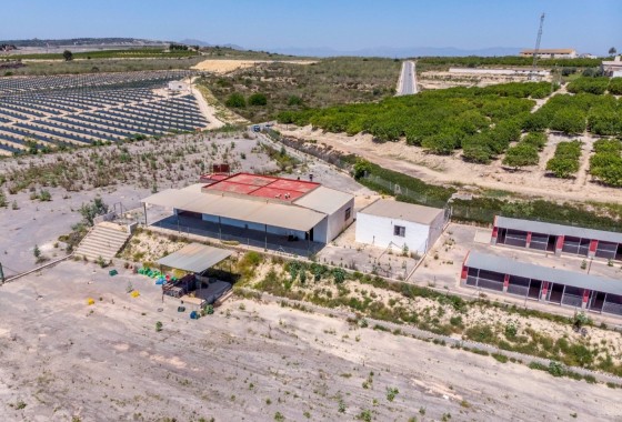 Revente - Finca Propriété rurale -
Los Montesinos - LOS MONTESINOS