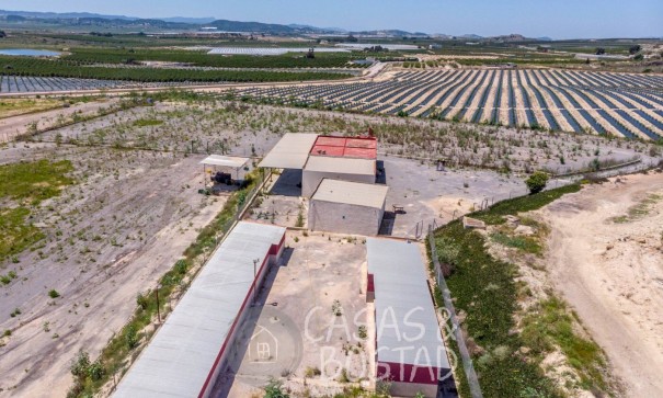 Resale - Finca Landgut -
Los Montesinos - LOS MONTESINOS