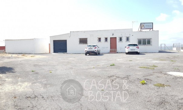 Resale - Finca Landgut -
Los Montesinos - LOS MONTESINOS