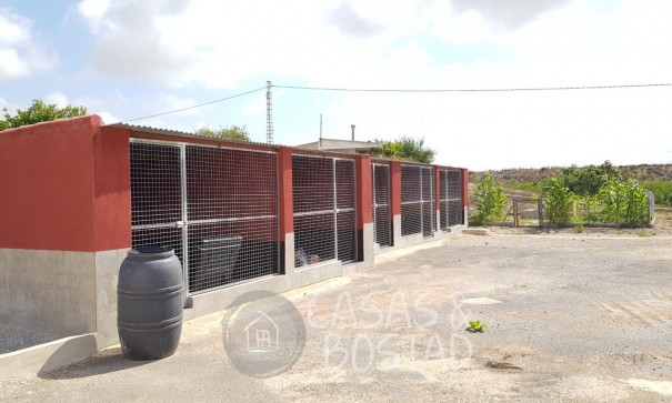 Resale - Finca Landgut -
Los Montesinos - LOS MONTESINOS