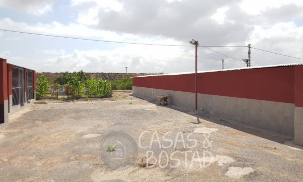 Resale - Finca Landgut -
Los Montesinos - LOS MONTESINOS