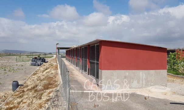 Resale - Finca Landgut -
Los Montesinos - LOS MONTESINOS