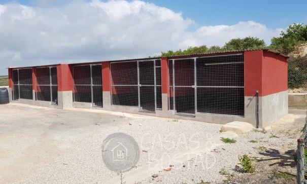 Resale - Finca Landgut -
Los Montesinos - LOS MONTESINOS