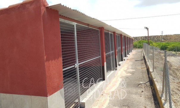 Resale - Finca Landgut -
Los Montesinos - LOS MONTESINOS