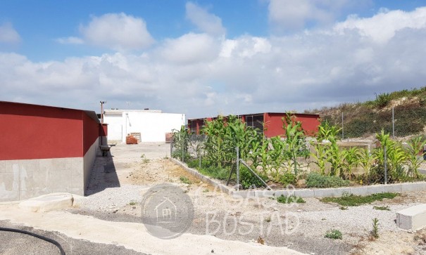 Resale - Finca Landgut -
Los Montesinos - LOS MONTESINOS