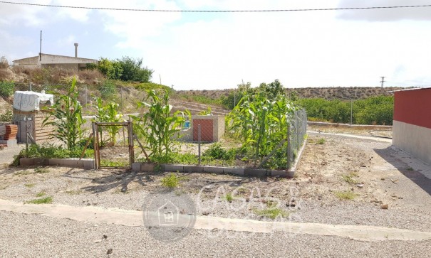 Resale - Finca Landgut -
Los Montesinos - LOS MONTESINOS