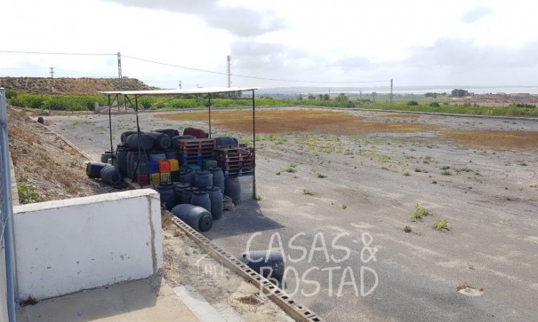 Resale - Finca Landgut -
Los Montesinos - LOS MONTESINOS