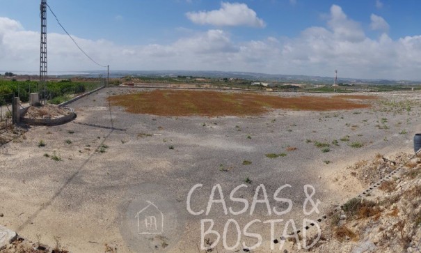 Resale - Finca Landgut -
Los Montesinos - LOS MONTESINOS