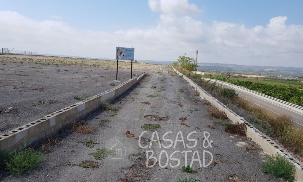 Resale - Finca Landgut -
Los Montesinos - LOS MONTESINOS