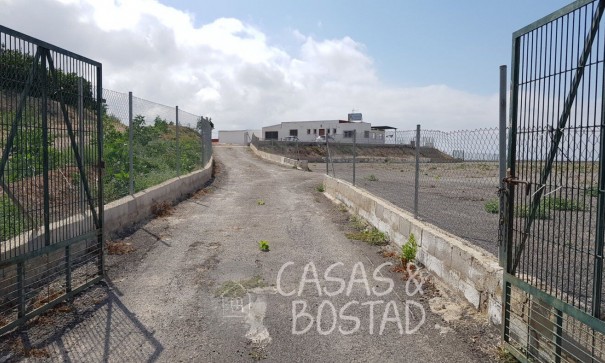 Resale - Finca Landgut -
Los Montesinos - LOS MONTESINOS