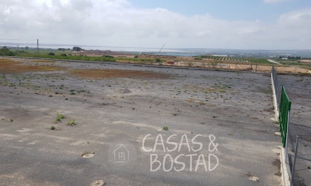 Resale - Finca Landgut -
Los Montesinos - LOS MONTESINOS