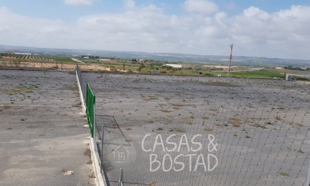 Resale - Finca Landgut -
Los Montesinos - LOS MONTESINOS