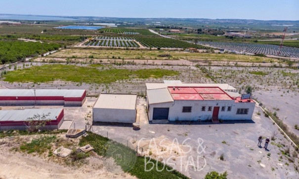 Resale - Finca Landgut -
Los Montesinos - LOS MONTESINOS