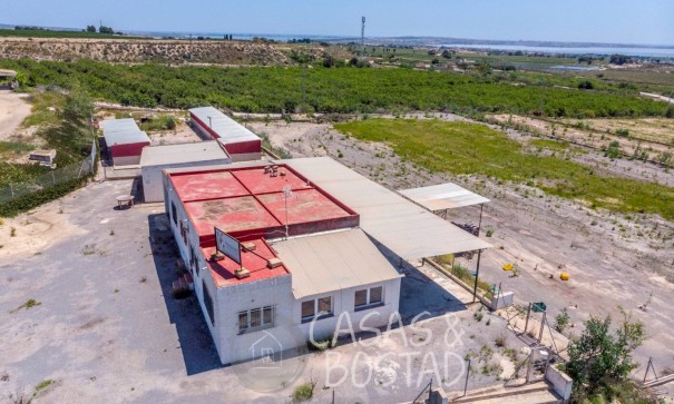 Resale - Finca Landgut -
Los Montesinos - LOS MONTESINOS