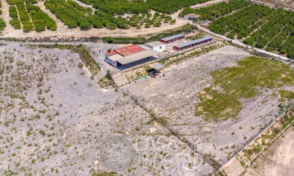 Resale - Finca Landgut -
Los Montesinos - LOS MONTESINOS