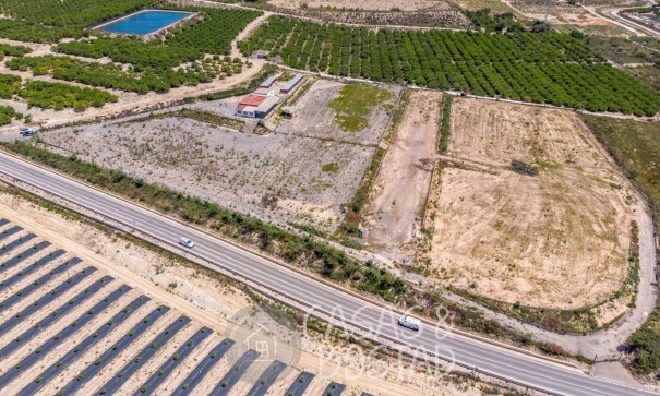 Resale - Finca Landgut -
Los Montesinos - LOS MONTESINOS