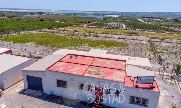 Resale - Finca Landgut -
Los Montesinos - LOS MONTESINOS