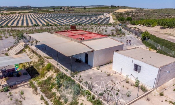Resale - Finca Landgut -
Los Montesinos - LOS MONTESINOS