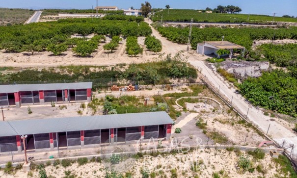 Resale - Finca Landgut -
Los Montesinos - LOS MONTESINOS