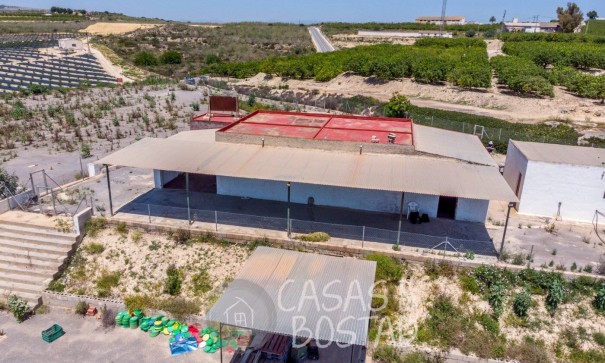 Resale - Finca Landgut -
Los Montesinos - LOS MONTESINOS