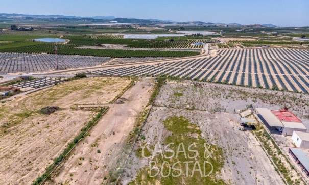 Resale - Finca Landgut -
Los Montesinos - LOS MONTESINOS