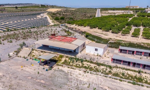 Resale - Finca Landgut -
Los Montesinos - LOS MONTESINOS