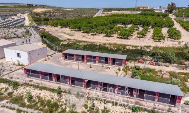 Resale - Finca Landgut -
Los Montesinos - LOS MONTESINOS