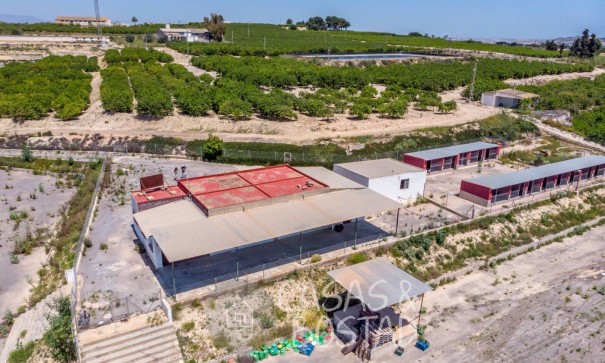 Resale - Finca Landgut -
Los Montesinos - LOS MONTESINOS